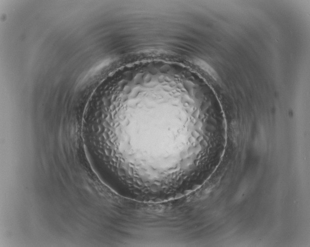 X0000060771111200511241747