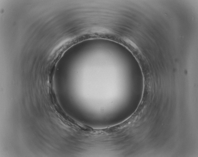 X0000060771112200511241747