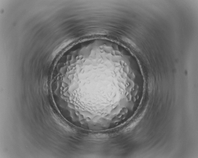 X0000060771113200511241747