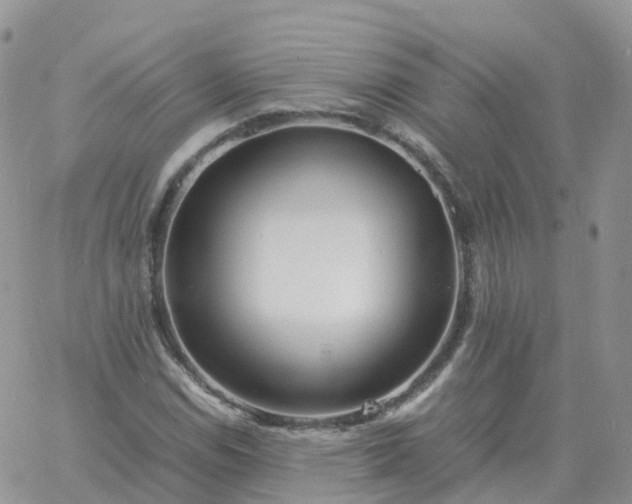 X0000060771114200511241747