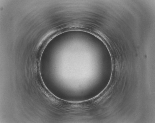 X0000060771115200511241747