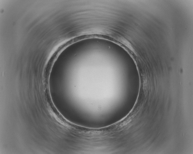 X0000060771116200511241747