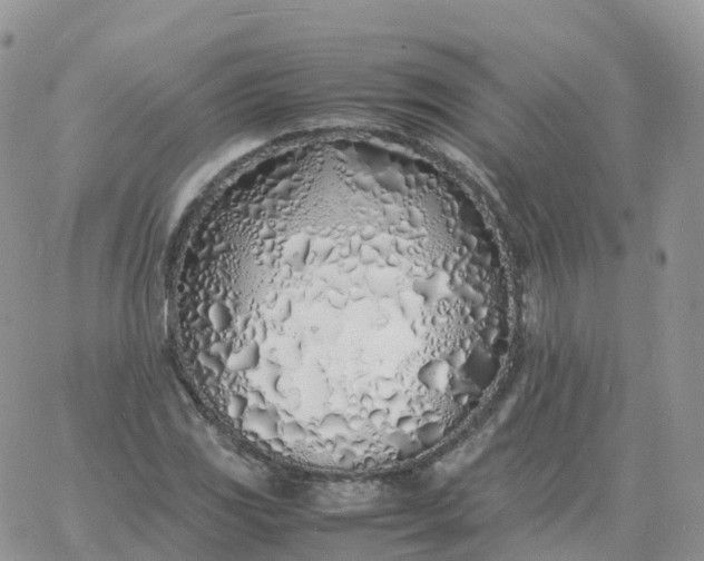 X0000060771117200511241747