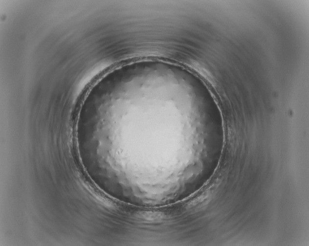 X0000060771119200511241747