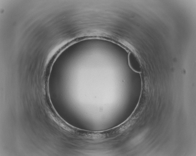 X0000060771120200511241747