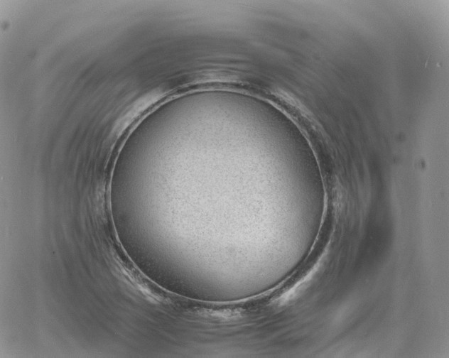 X0000060771121200511241747