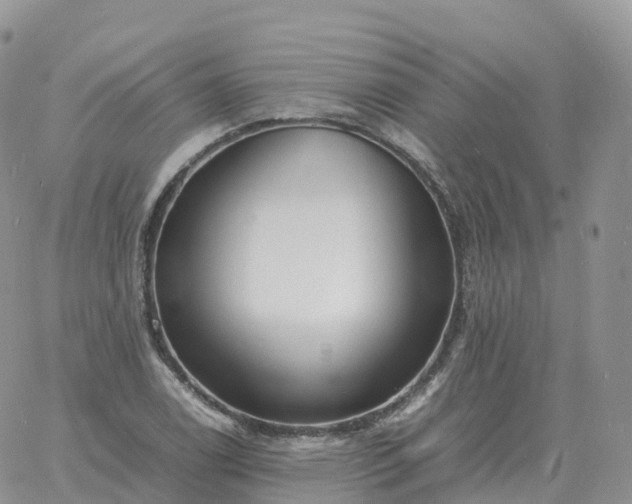 X0000060771122200511241747