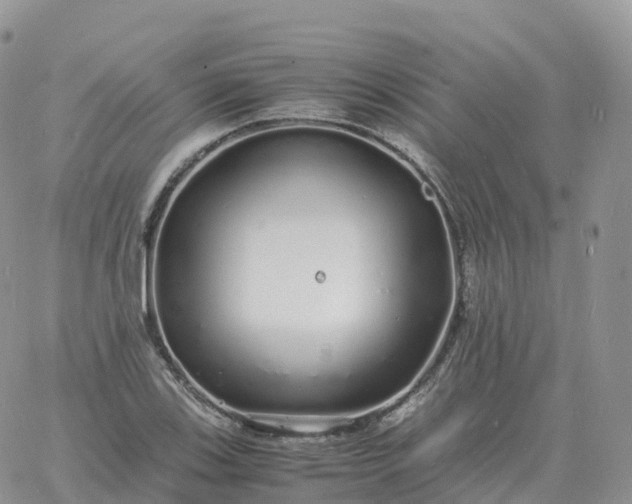 X0000060771123200511241747