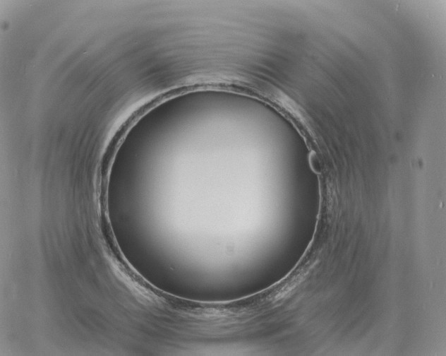 X0000060771124200511241747