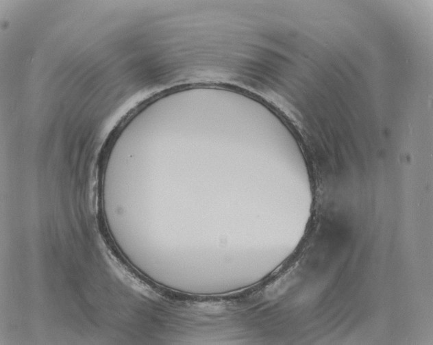 X0000060771126200511241747