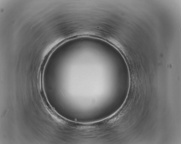 X0000060771127200511241747