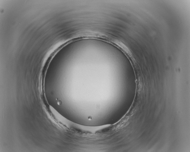 X0000060771128200511241747