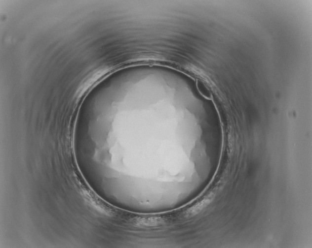 X0000060771129200511241747