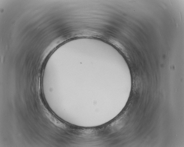 X0000060771130200511241747