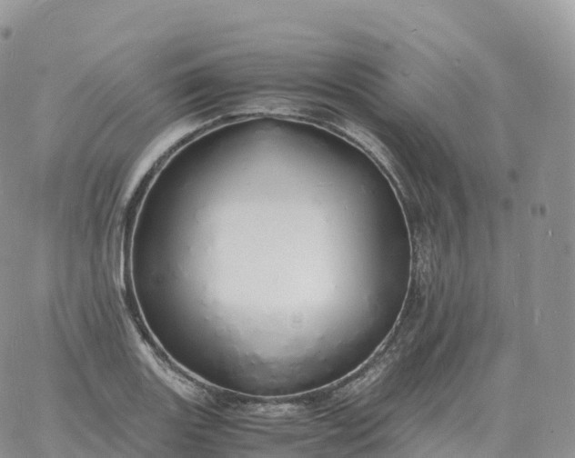 X0000060771131200511241747