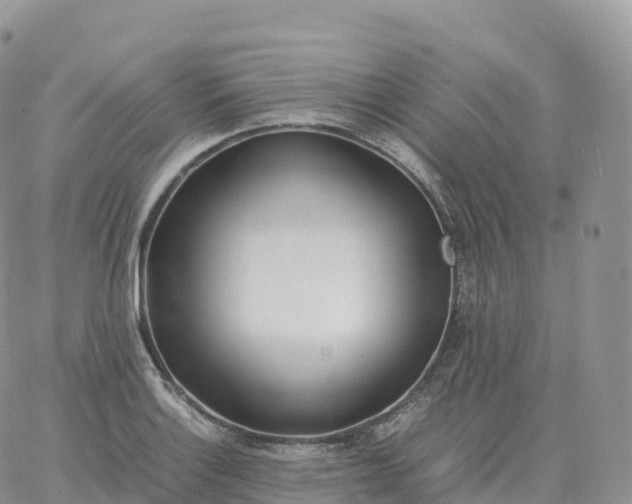 X0000060771132200511241747