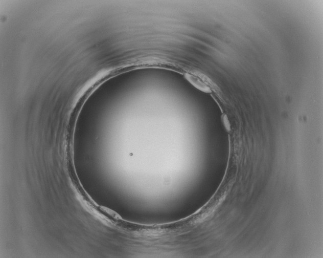 X0000060771134200511241747