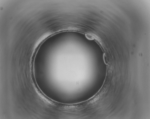 X0000060771135200511241747