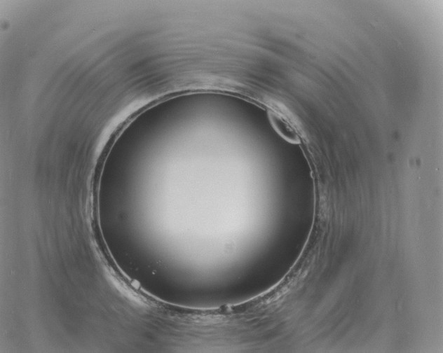 X0000060771136200511241747