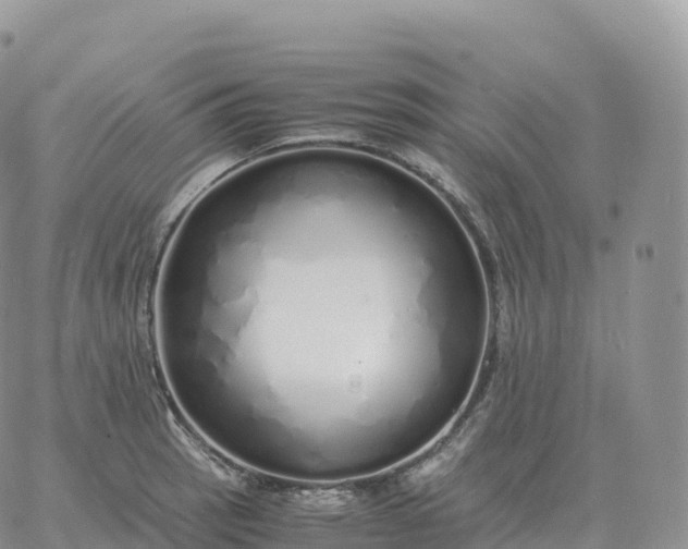 X0000060771137200511241747