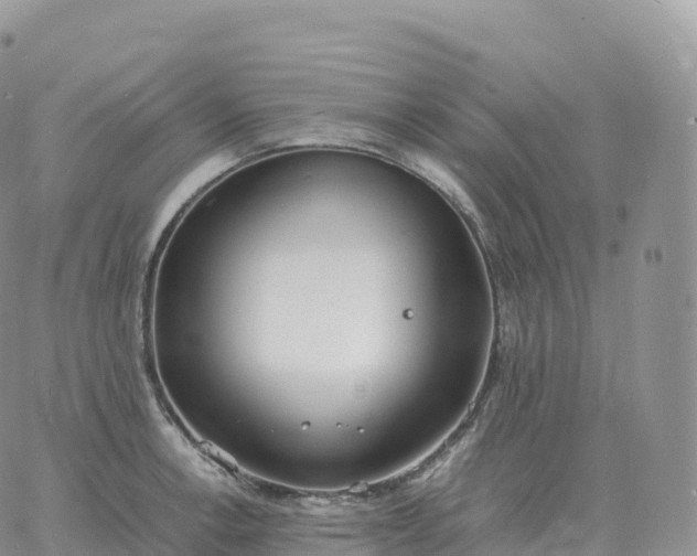 X0000060771138200511241747