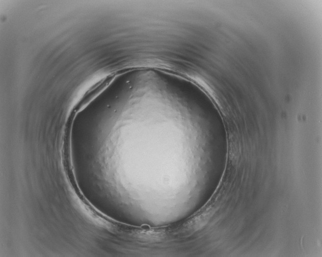 X0000060771139200511241747