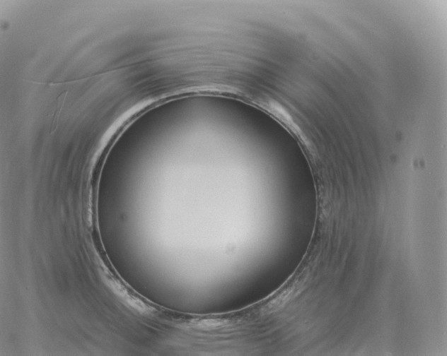 X0000060771140200511241747