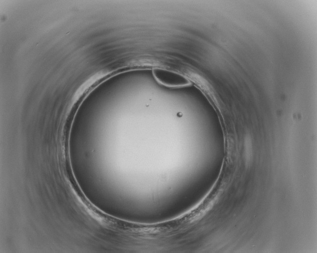 X0000060771141200511241747