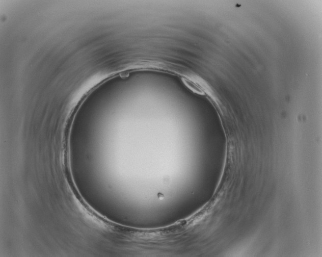 X0000060771143200511241747