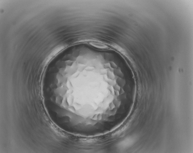 X0000060771145200511241747