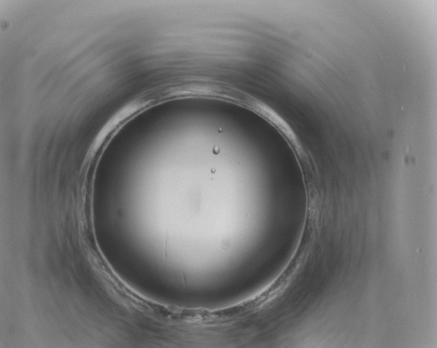 X0000060771146200511241747