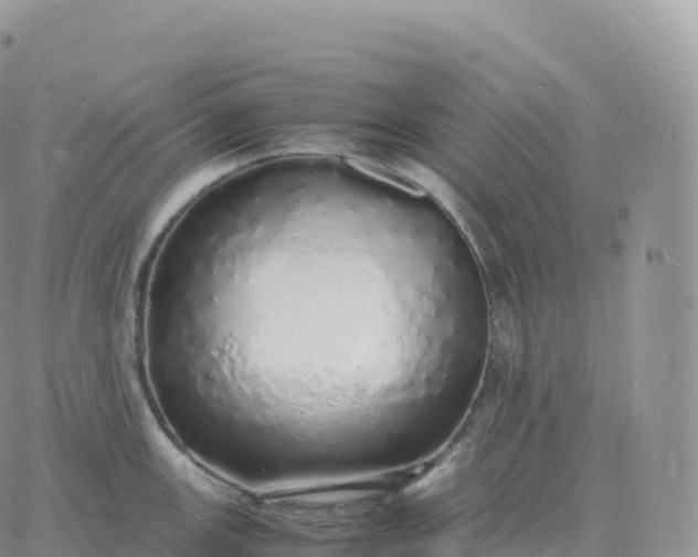 X0000060771147200511241747