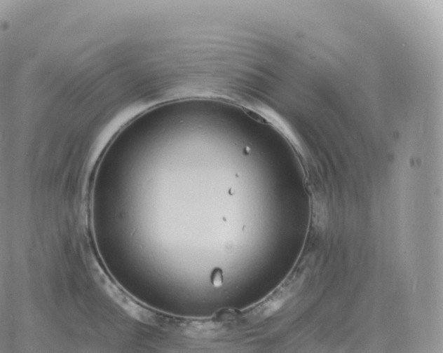 X0000060771148200511241747