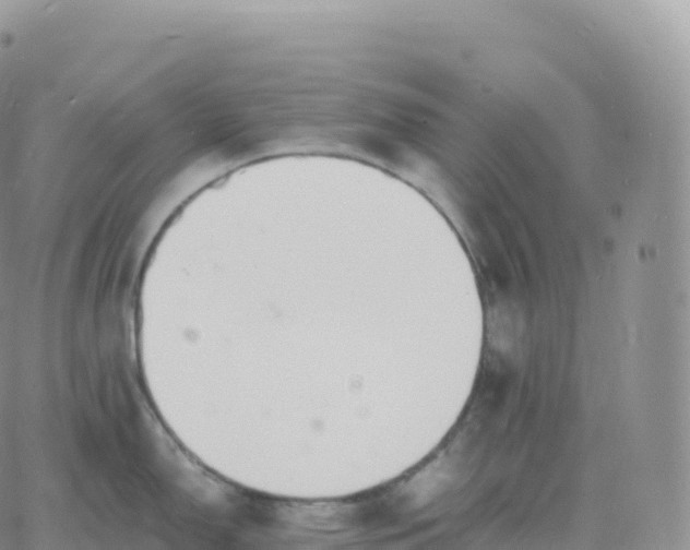 X0000060771150200511241747