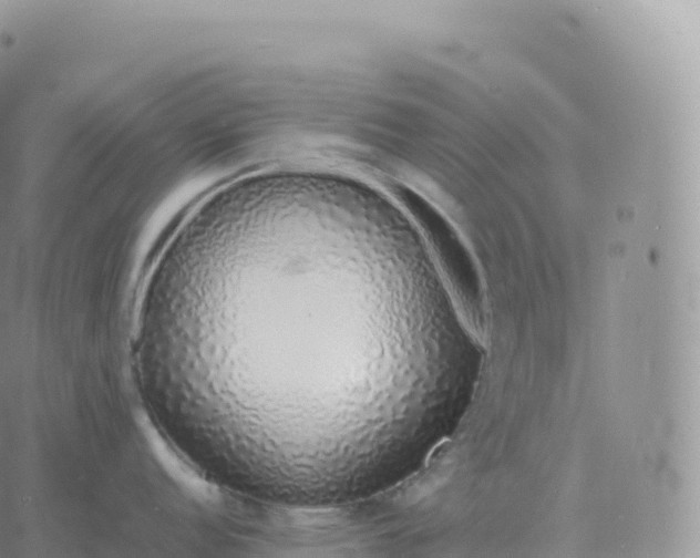 X0000060771152200511241747