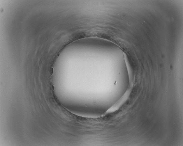 X0000060771153200511241746