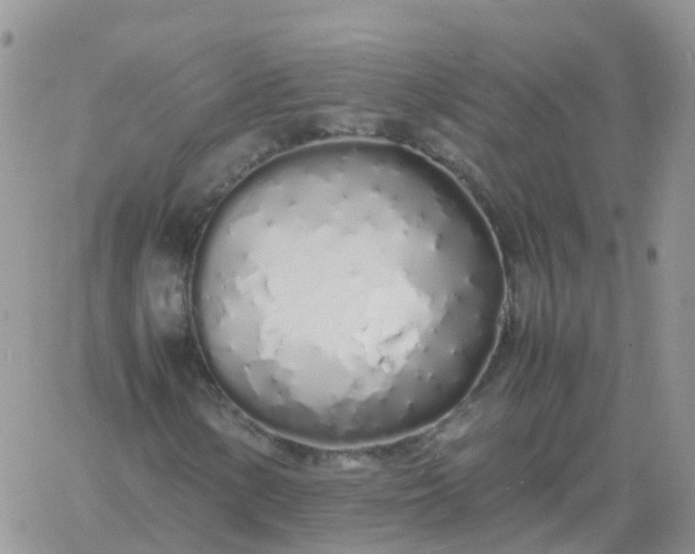 X0000060771154200511241746