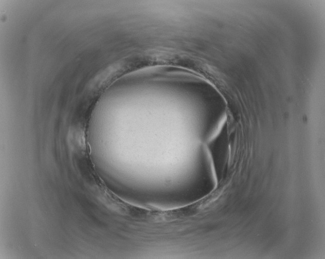 X0000060771155200511241746