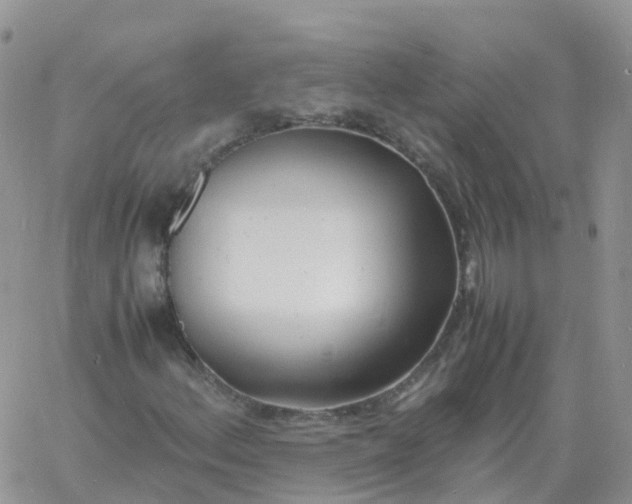 X0000060771156200511241746