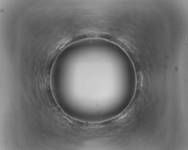 X0000060771157200511241746