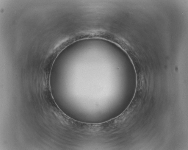 X0000060771158200511241746