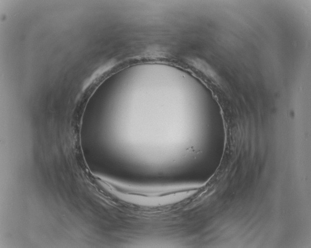 X0000060771160200511241746