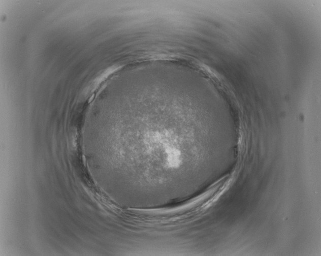 X0000060771161200511241746