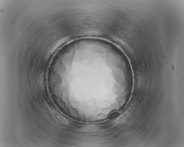 X0000060771162200511241746