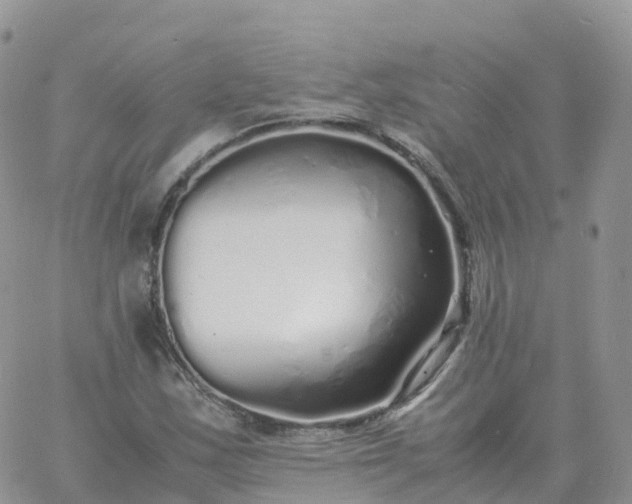 X0000060771163200511241746