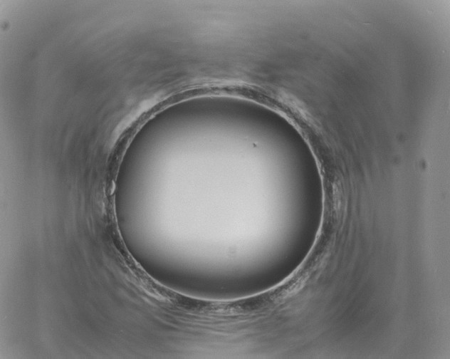 X0000060771165200511241746