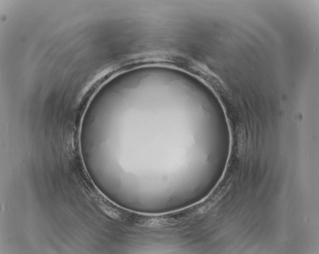 X0000060771166200511241746