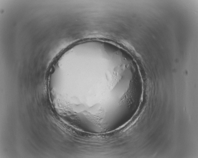 X0000060771167200511241746