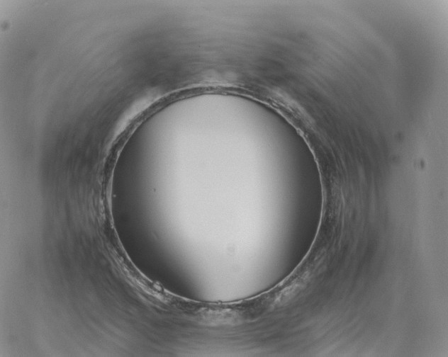 X0000060771168200511241746