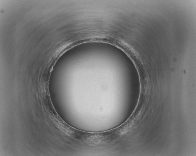 X0000060771169200511241746